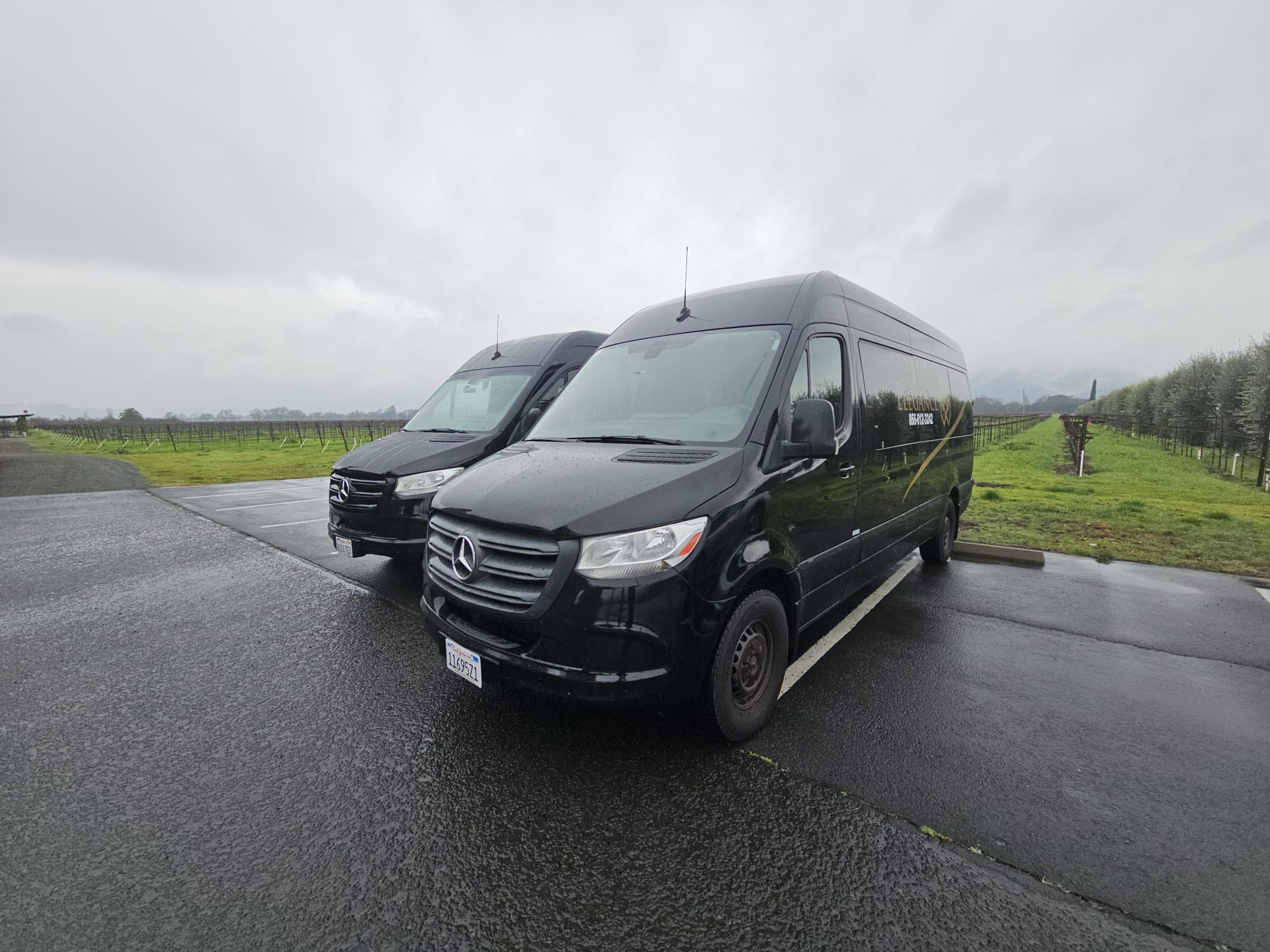 Two black Mercedes Sprinter vans parked beside Napa Valley vineyard rows on a rainy day